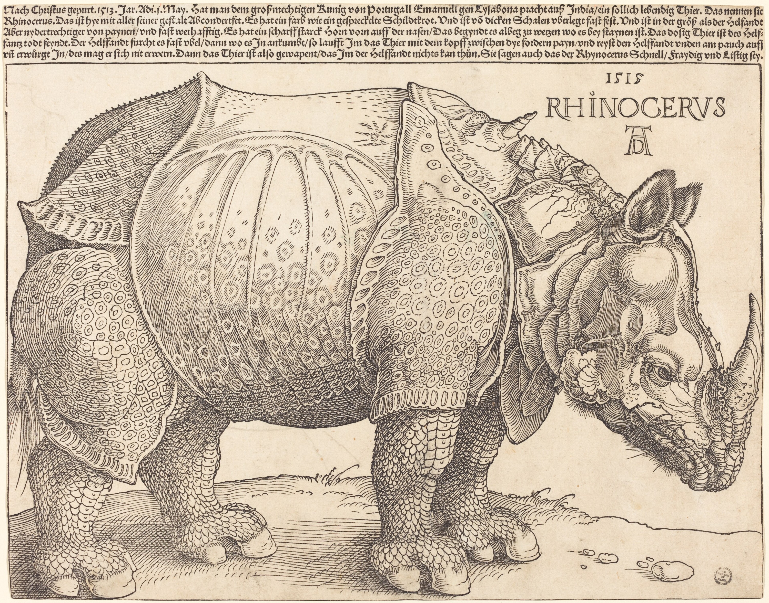 Albrecht Dürer, Næsehorn, 1515, et træsnit bygget af konturer