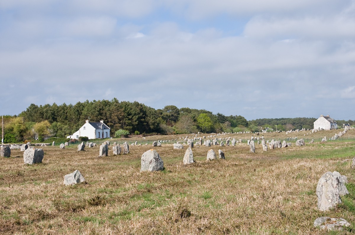 Long rows of grey standing stones in a grassy field at Carnac in Brittany
