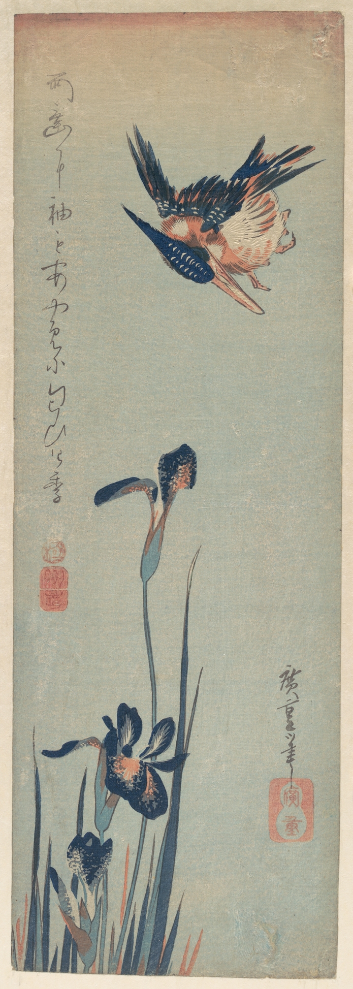 Hiroshige's bird-and-flower print: a kingfisher diving head-first above blue and white irises, with a short poem written beside it on a tall, narrow sheet