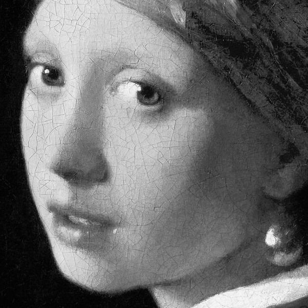 Girl with a Pearl Earring as grayscale, with a full range of gray tones