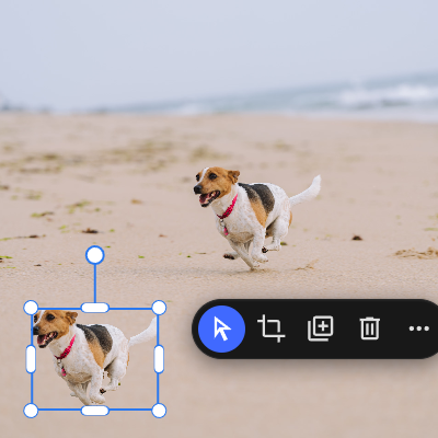 AI copy object — Pictorx photo editor feature
