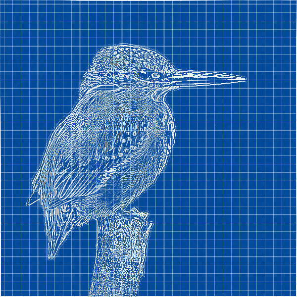Blueprint photo effect preview