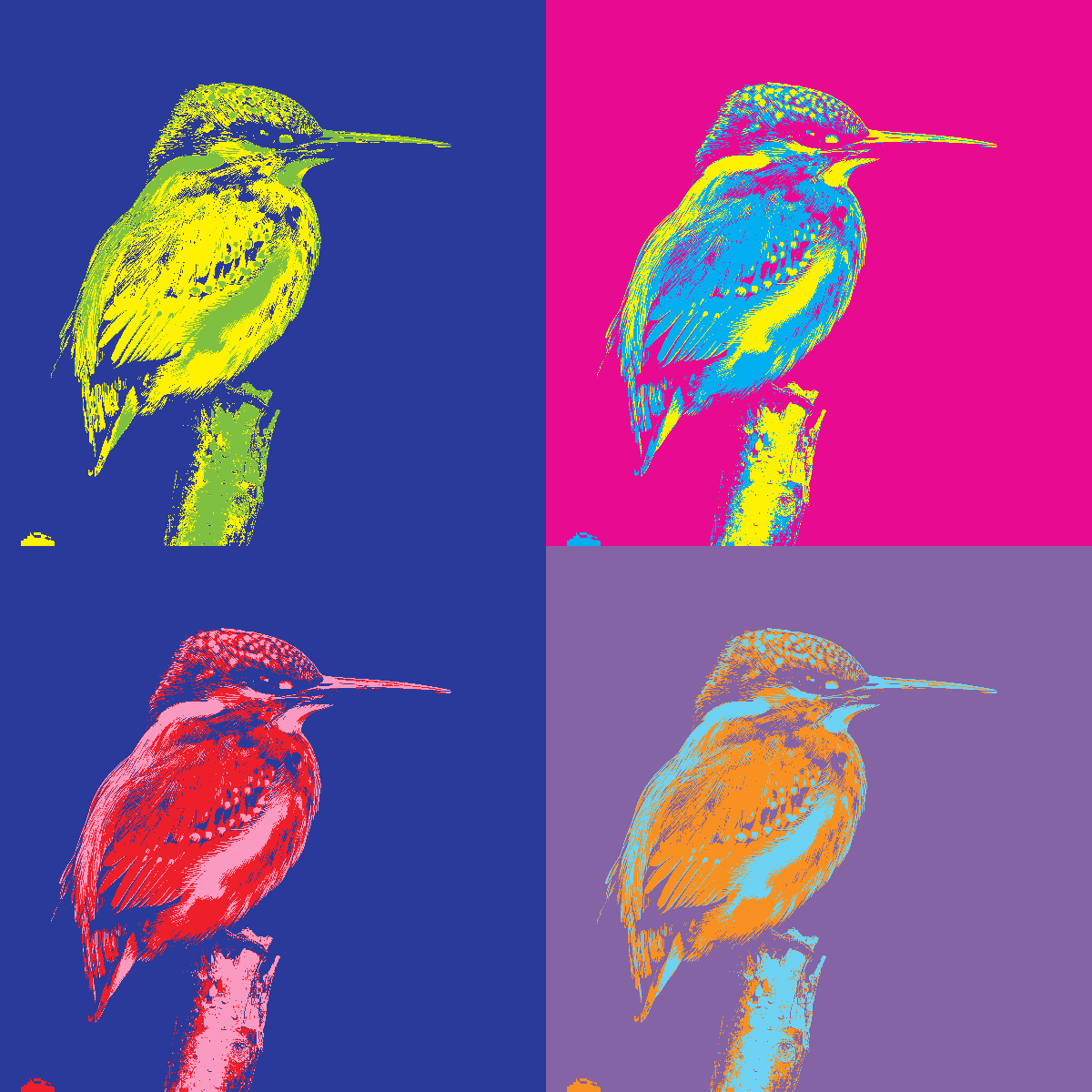 Che photo effect preview