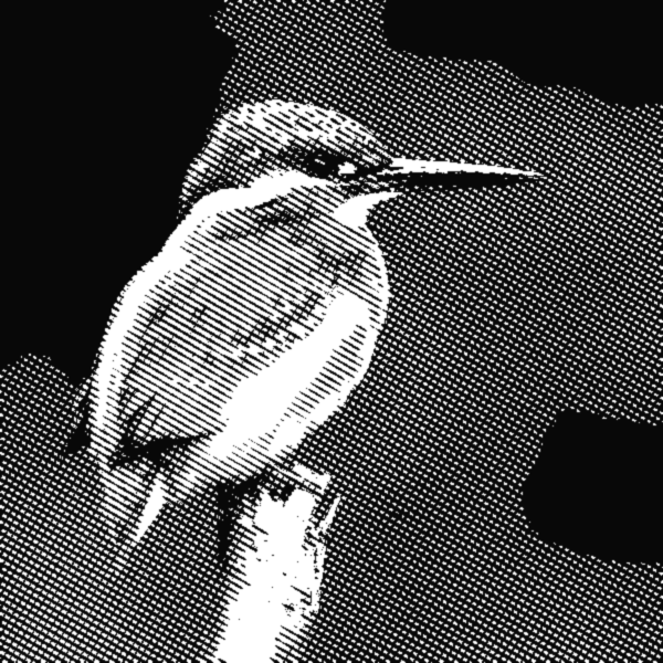 Engraved photo effect preview