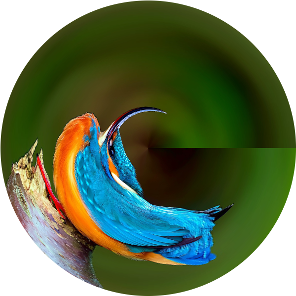 Polar Coordinates photo effect preview