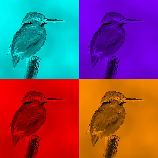 Pop Art Neon photo effect preview