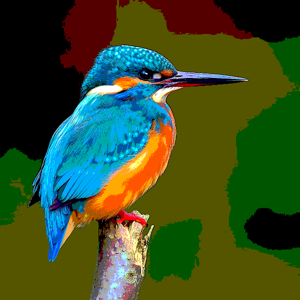 Posterize photo effect preview