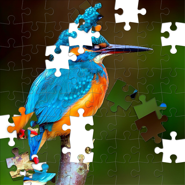 Puzzle photo effect preview