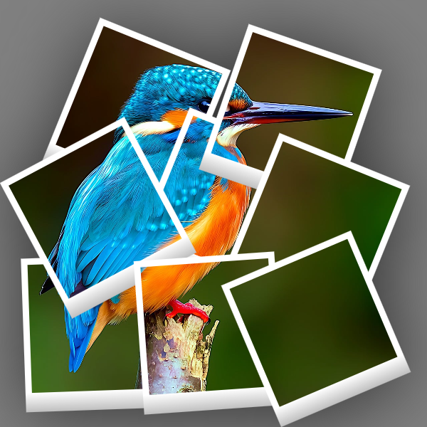Single Photo Collage photo effect preview