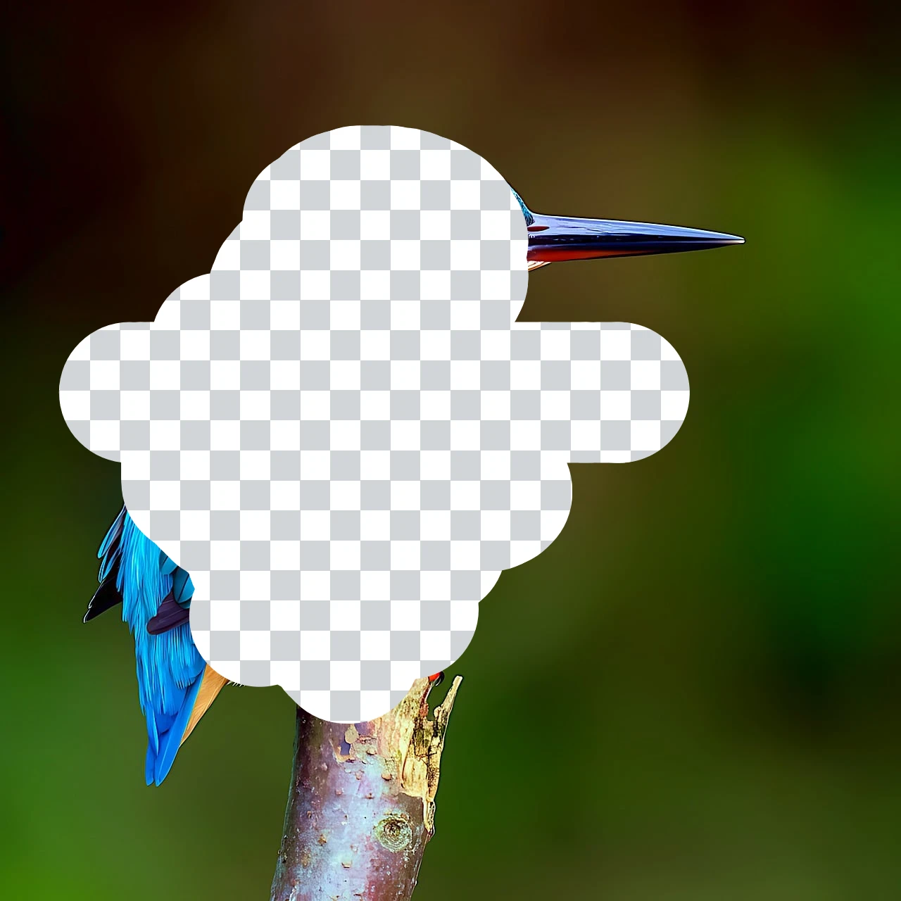 ميزة PictorX - ممحاة