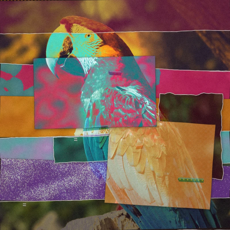 PictorX feature - Mixed Media