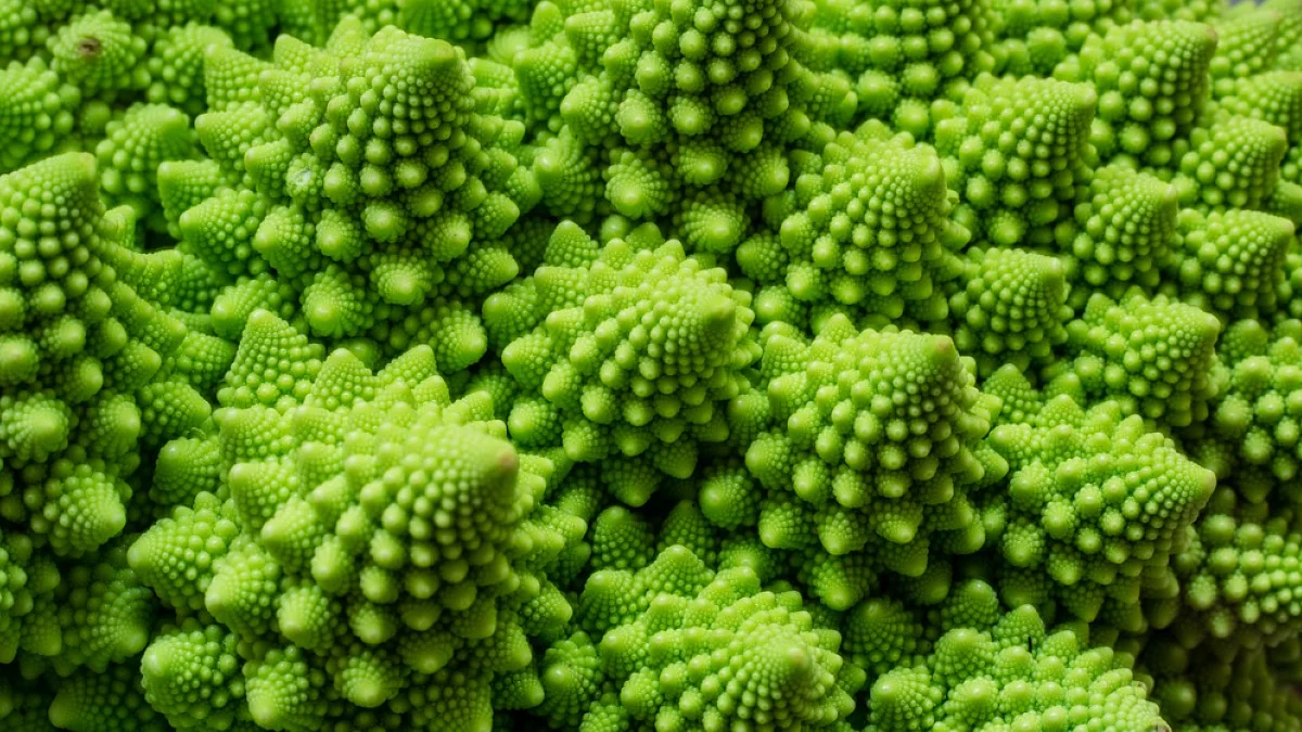 Natural fractal patterns in nature