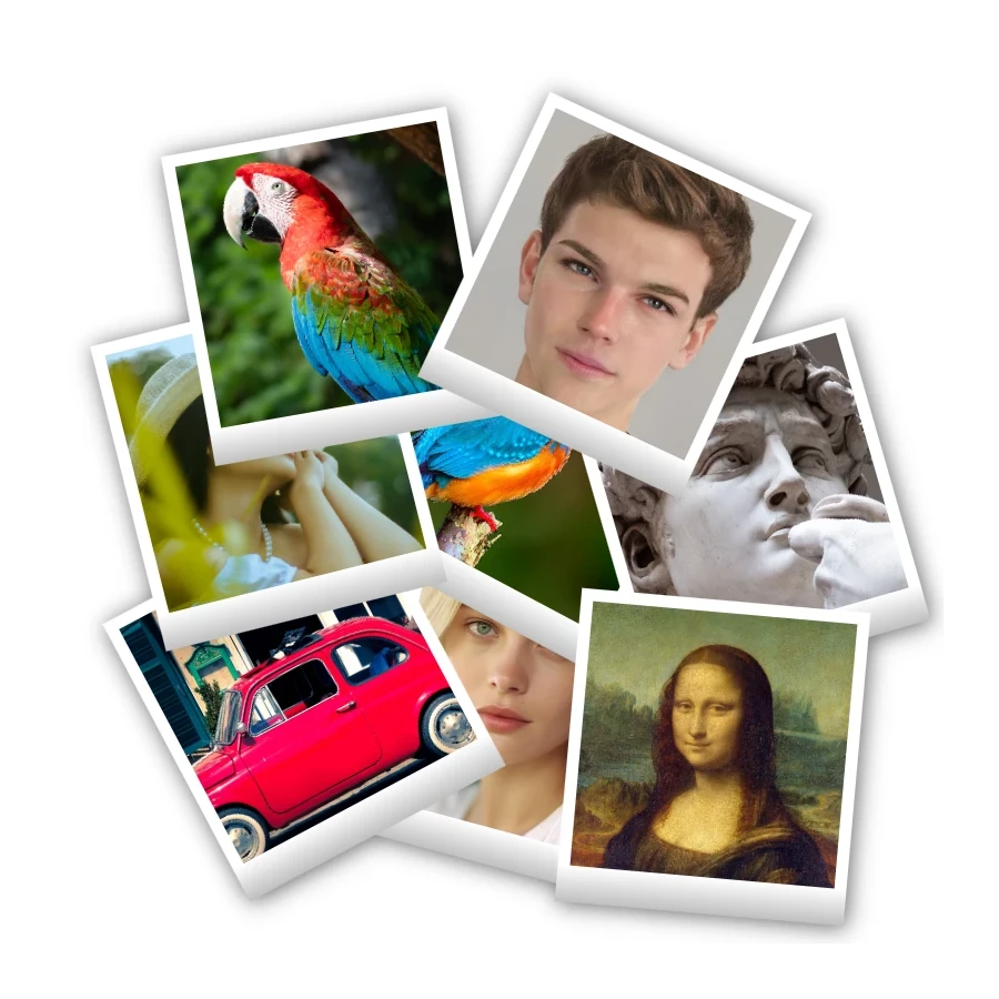 Polaroid collagemaker-voorbeeld in PictorX