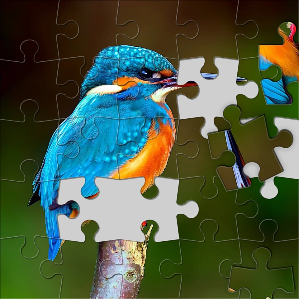 Gør et billede til et puslespil eksempel i PictorX