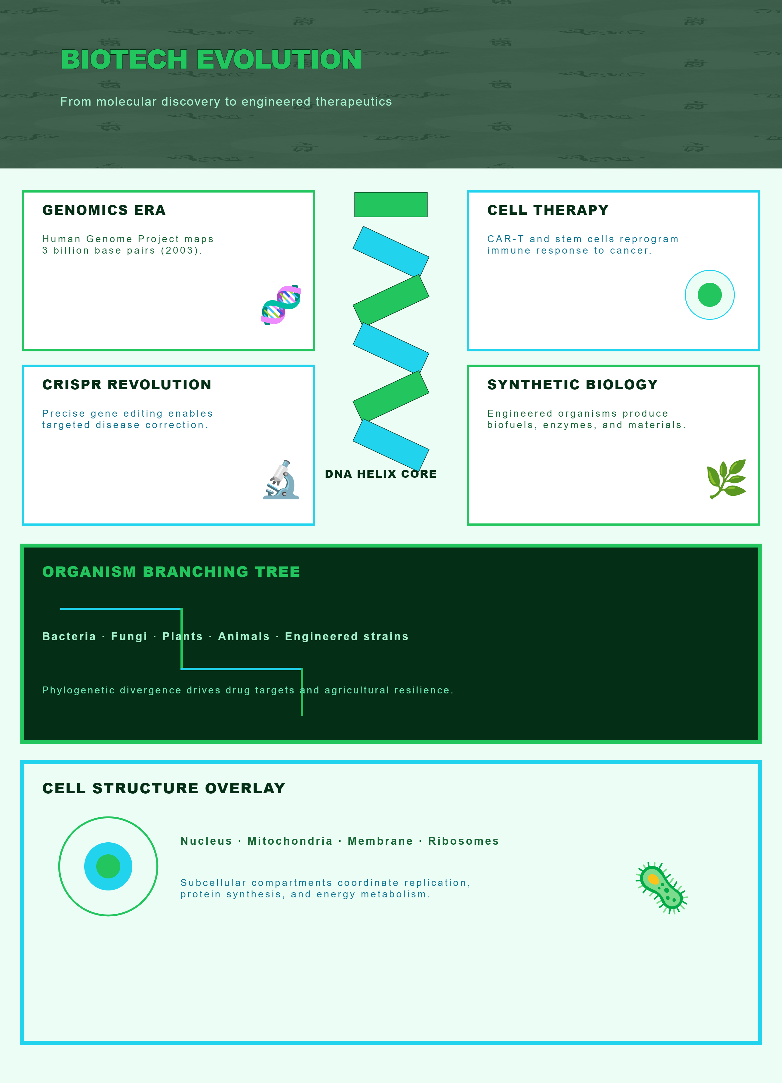 PictorX template - Biotech Evolution Infograph