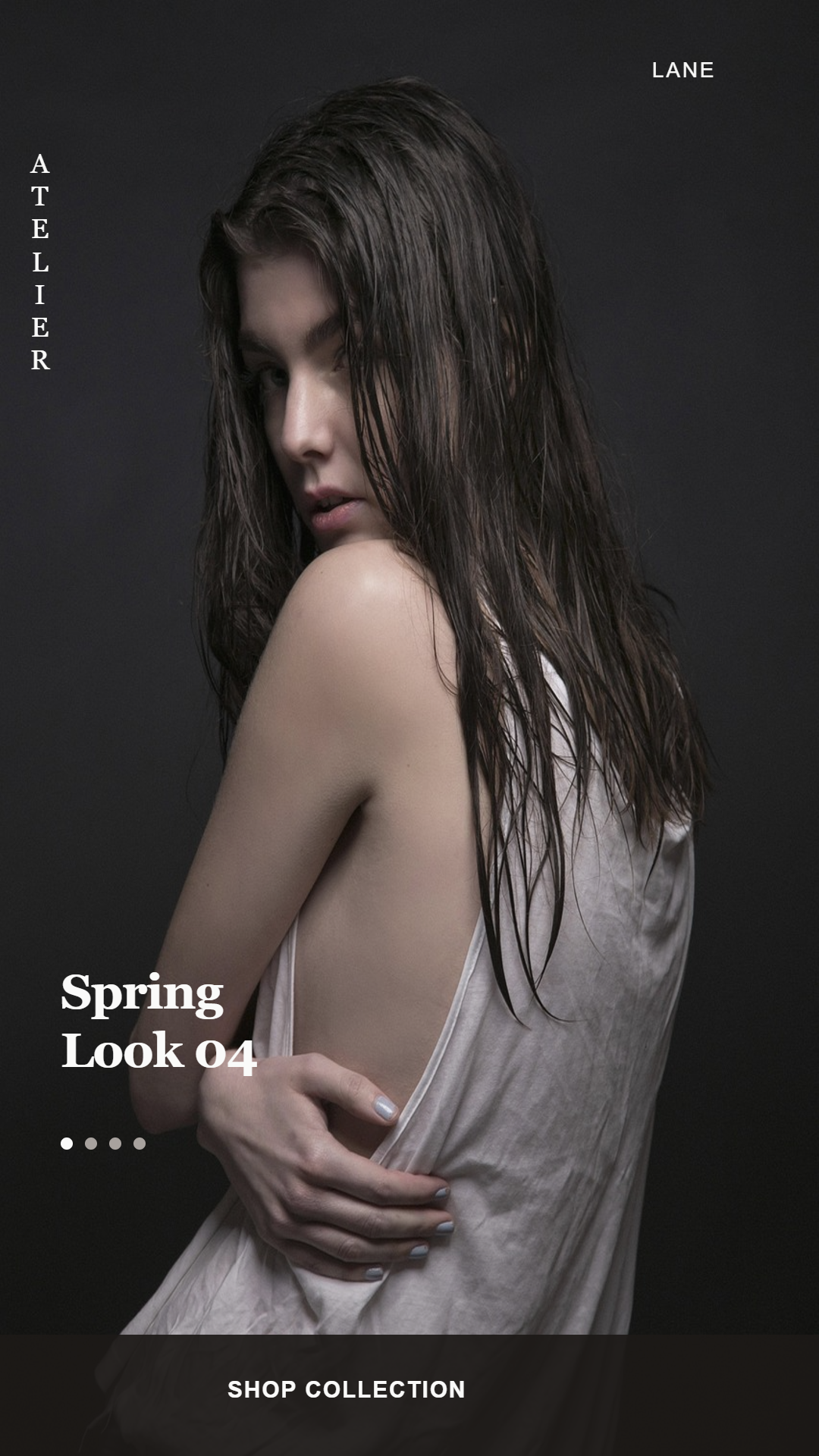 PictorX template - Fashion Boutique Mobile Website