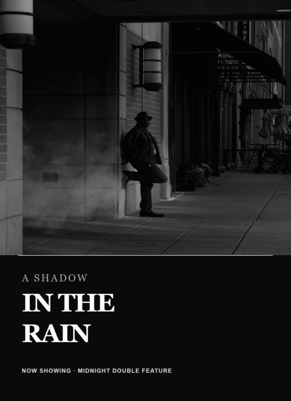 PictorX template - Film Noir Poster