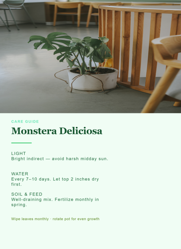 PictorX template - Houseplant Care Guide