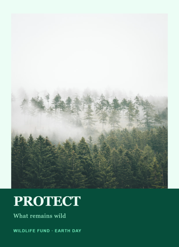 PictorX template - Nature Conservation Poster