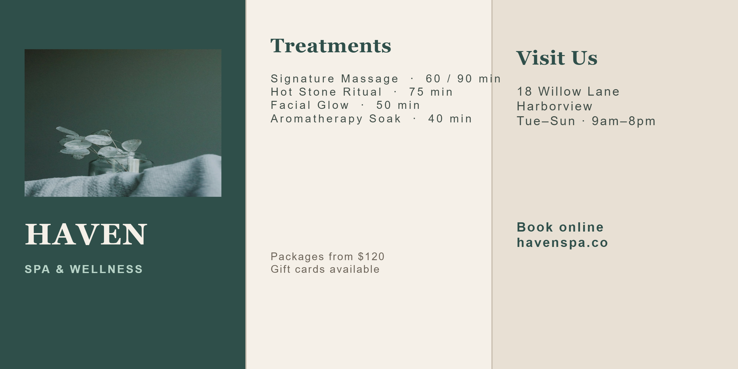 PictorX template - Spa Wellness Flyer